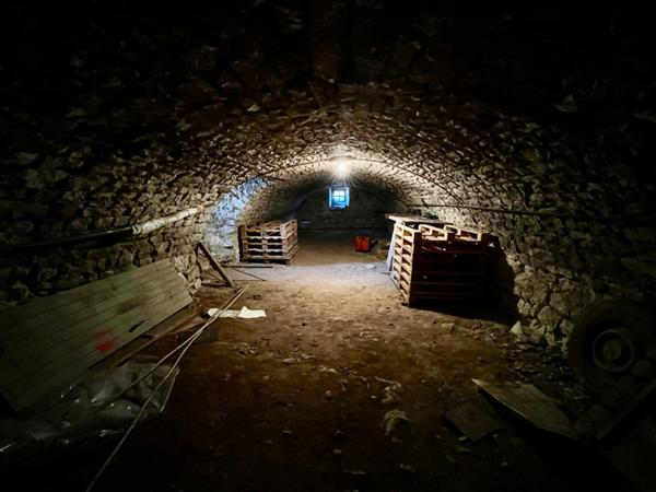 Amoureux de vieilles pierres! Cette maison est faite pour vous!