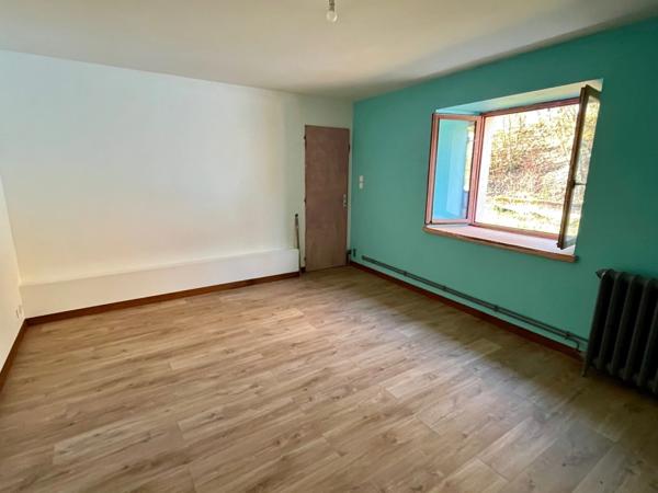 Amoureux de vieilles pierres! Cette maison est faite pour vous!