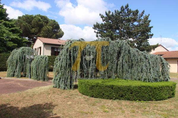 Aucamville (31140) Terrain à bâtir -viabilisé