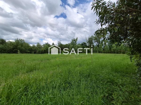 ETANG + CHALET + PEUPLERAIE 8600m²