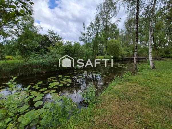 ETANG + CHALET + PEUPLERAIE 8600m²