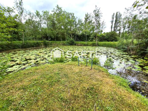ETANG + CHALET + PEUPLERAIE 8600m²