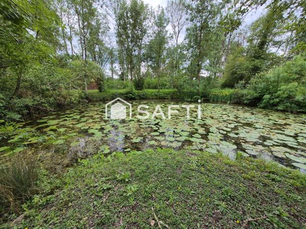 ETANG + CHALET + PEUPLERAIE 8600m²