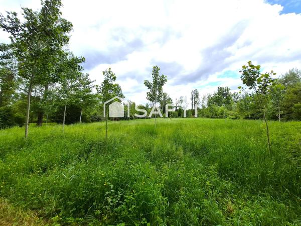 ETANG + CHALET + PEUPLERAIE 8600m²