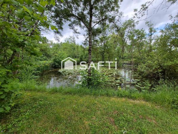 ETANG + CHALET + PEUPLERAIE 8600m²
