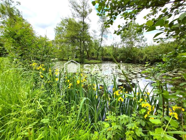ETANG + CHALET + PEUPLERAIE 8600m²