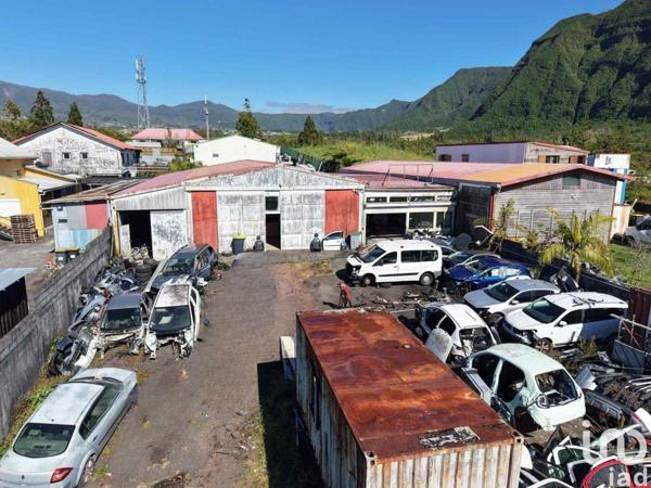 Atelier à vendre 692 m² La Plaine-des-Palmistes