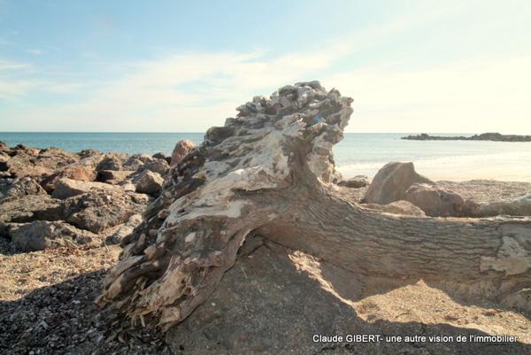 Frontignan (34110) Maison de plage en R+1 avec terrasse carrelée à 50 mètres de la mer à Frontignan-Plage