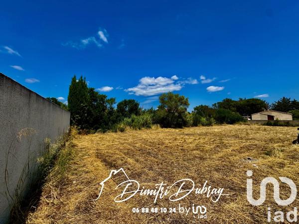 Terrain à vendre 565 m² Lézignan-Corbières