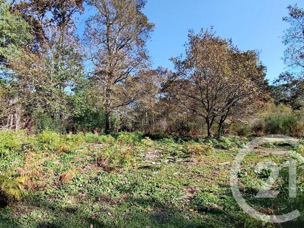Terrain à vendre  590 m 2   ANGRESSE  - 40