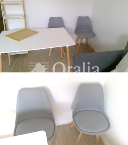 Appartement · Location Dijon (21000) 1 pièce · 24m²