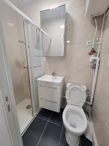 Magnifique T1 refait entièrement à neuf