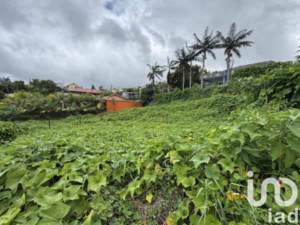 Terrain à vendre 889 m² Les Avirons