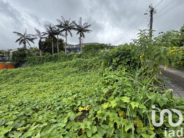 Terrain à vendre 889 m² Les Avirons