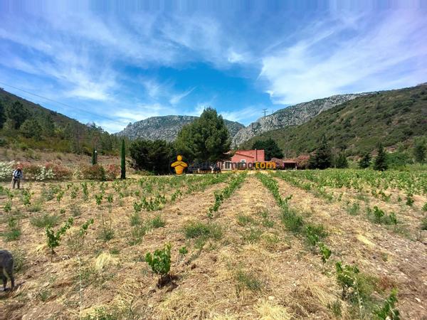 Vente Maison 6 pièces 178 m2 à Estagel