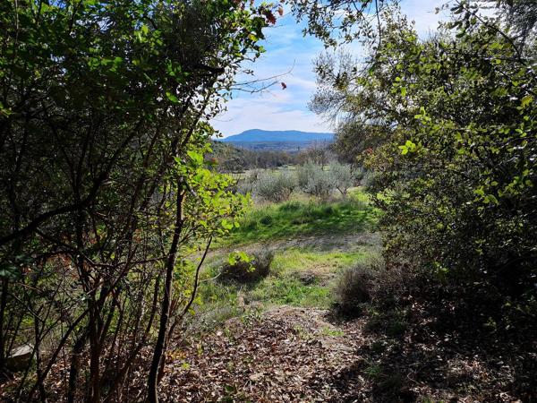 Durfort-et-Saint-Martin-de-Sossenac (30170) Maison de hameau en pierre au calme absolu avec terrasse et vue pnoramique, plus un chai de 100m² aménageable