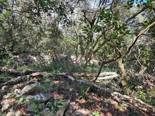 Durfort-et-Saint-Martin-de-Sossenac (30170) Maison de hameau en pierre au calme absolu avec terrasse et vue pnoramique, plus un chai de 100m² aménageable