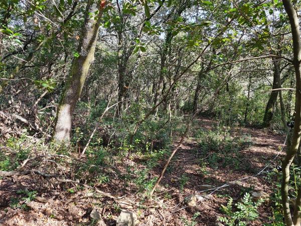Durfort-et-Saint-Martin-de-Sossenac (30170) Maison de hameau en pierre au calme absolu avec terrasse et vue pnoramique, plus un chai de 100m² aménageable
