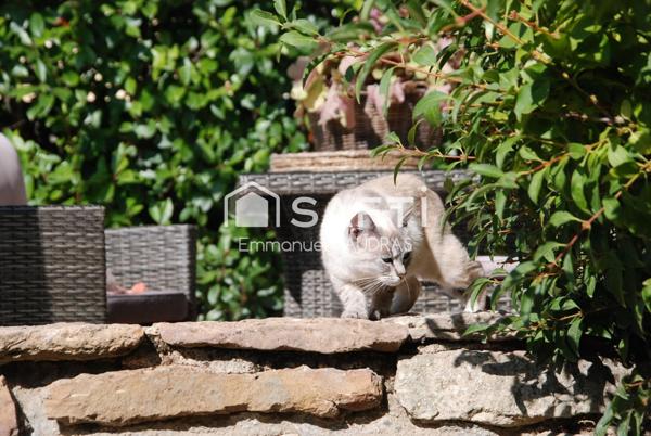 Maison rénovée en pierres