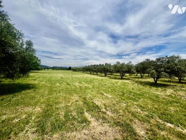 Propriété sur 12 ha proche d'Uzès et Avignon avec piscine