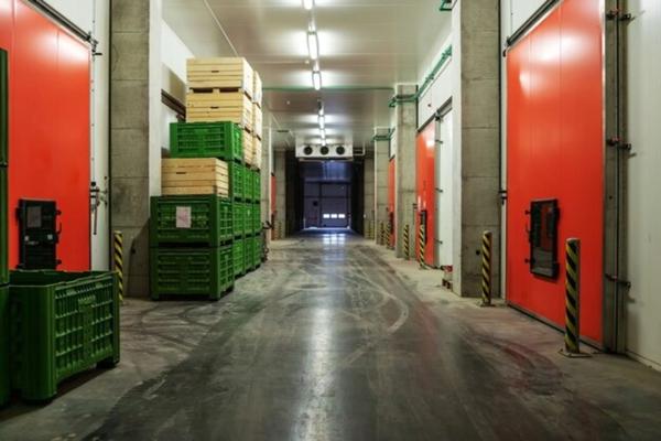 Local d'activité à Louer à Vénissieux – Parc du moulin à vent