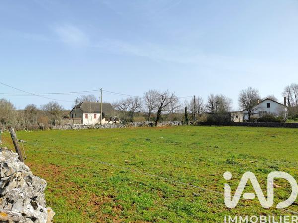 Terrain à vendre 1 351 m² Livernon