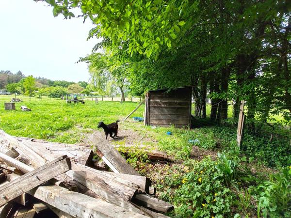 Maison de campagne, ses dépendances et son terrain de 2.13Ha
