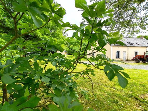 Maison de campagne, ses dépendances et son terrain de 2.13Ha