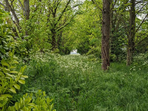 Terrain à lotir. Proximité Futuroscope 5 762 m²