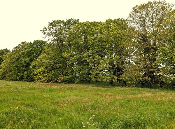 Terrain à lotir. Proximité Futuroscope 5 762 m²