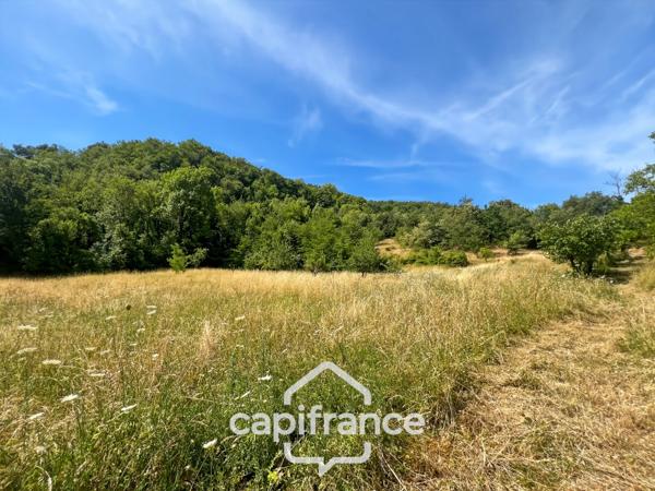 Maison d'environ 120 m2 avec plus de 2,2 hectares de terrain et un potentiel d'agrandissement exceptionnel – Saint-Jean-de-Muzols