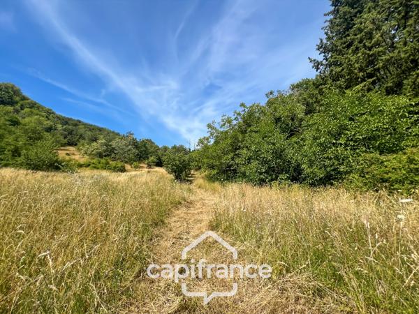 Maison d'environ 120 m2 avec plus de 2,2 hectares de terrain et un potentiel d'agrandissement exceptionnel – Saint-Jean-de-Muzols