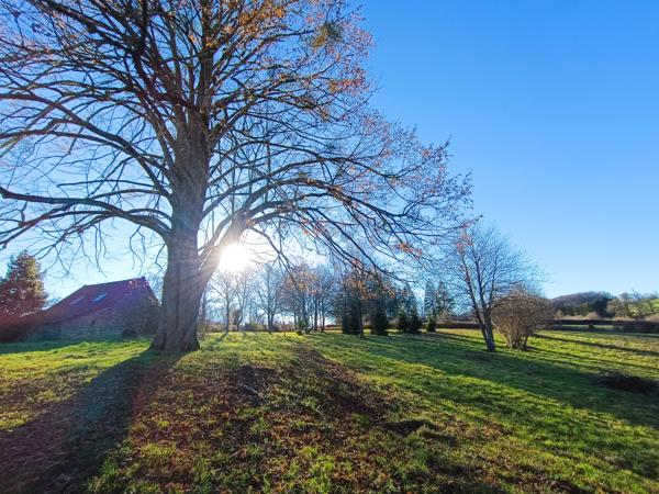 Maison à vendre à Boussac (23600) - Creuse