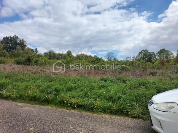 Lotissement de 1 195 m²