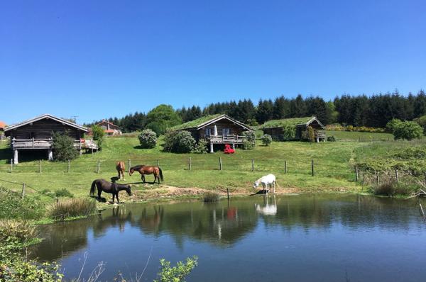 PROPRIETE EQUESTRE AVEC MAISON D’HABITATION ET 3 GITES INDEPENDANTS SUR 32 HA