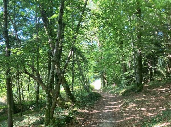 PROPRIETE EQUESTRE AVEC MAISON D’HABITATION ET 3 GITES INDEPENDANTS SUR 32 HA