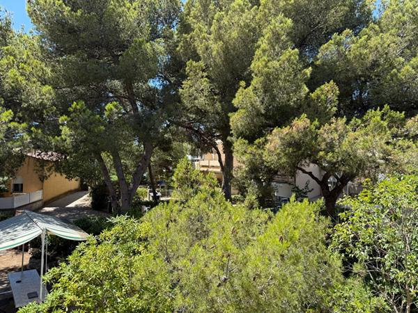 Appartement La Couronne 1 pièce 36 m2