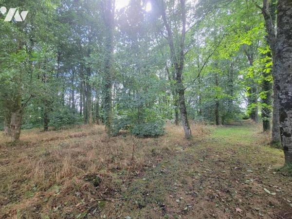 Maison dans hameau en campagne
