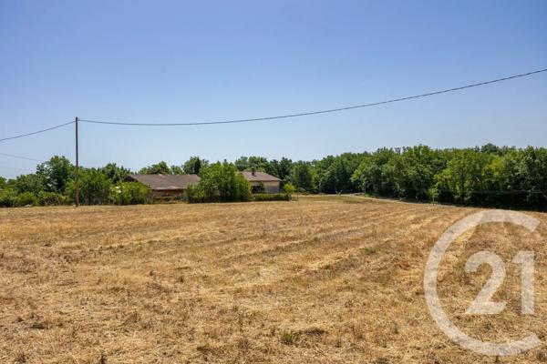 Maison à vendre  4 pièces - 113,60 m 2   GAILLAC  - 81