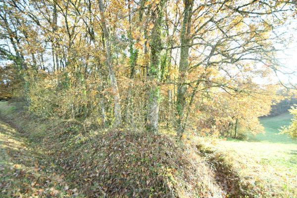 Achat terrain près de SALVAGNAC - 3910 m² - 11 000 €