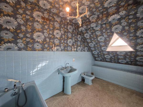 MAGNIFIQUE PROPRIETE A RENOVER AVEC MAISON EN PIERRE DE 227 M2 HABITABLE SUR UNE PARCELLE DE 3000 M2 AVEC DOUBLE GARAGE