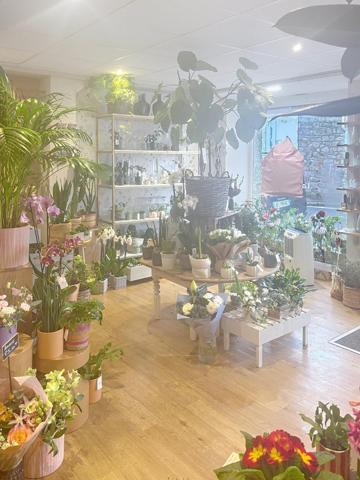 Rare à Rosoff ! Superbe fleuriste en centre ville, emplacement premium, clientèle fidèle. A découvrir sans tarder