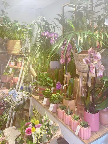 Rare à Rosoff ! Superbe fleuriste en centre ville, emplacement premium, clientèle fidèle. A découvrir sans tarder