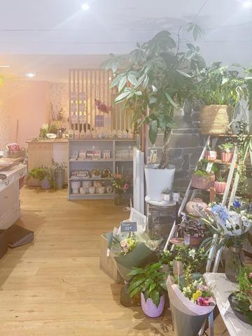 Rare à Rosoff ! Superbe fleuriste en centre ville, emplacement premium, clientèle fidèle. A découvrir sans tarder