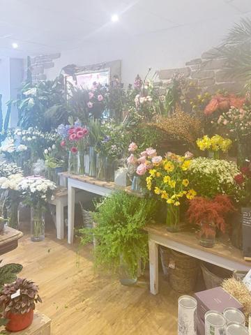 Rare à Rosoff ! Superbe fleuriste en centre ville, emplacement premium, clientèle fidèle. A découvrir sans tarder