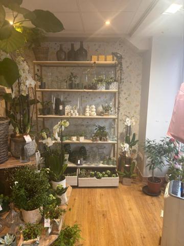 Rare à Rosoff ! Superbe fleuriste en centre ville, emplacement premium, clientèle fidèle. A découvrir sans tarder