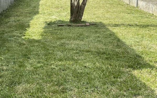 Maison à vendre    4 pièces • 95 m2 Saint-Quentin