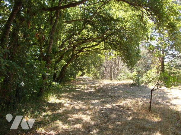 Villemur sur tarn : terrain de 6770 m2 dont 4000 m2 environ sont constructibles dans un parc.