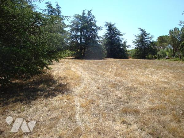 Villemur sur tarn : terrain de 6770 m2 dont 4000 m2 environ sont constructibles dans un parc.