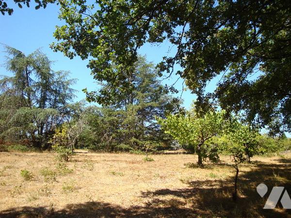 Villemur sur tarn : terrain de 6770 m2 dont 4000 m2 environ sont constructibles dans un parc.